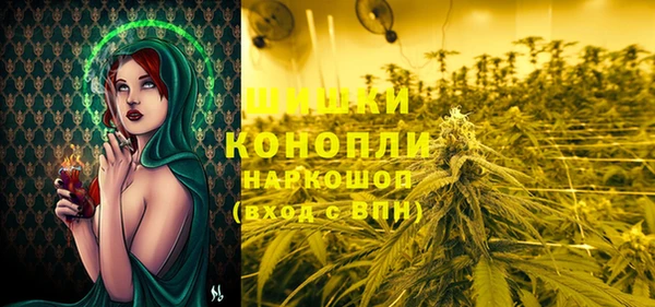 крисы Елабуга