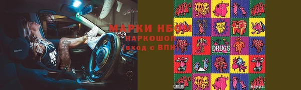 крисы Елабуга