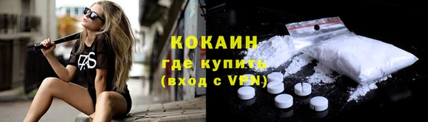 крисы Елабуга
