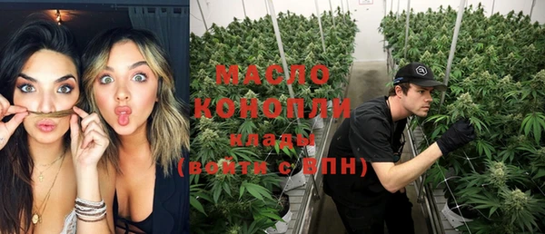 крисы Елабуга
