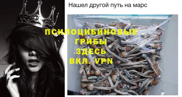 крисы Елабуга