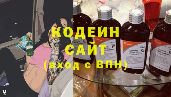 скорость Елизово