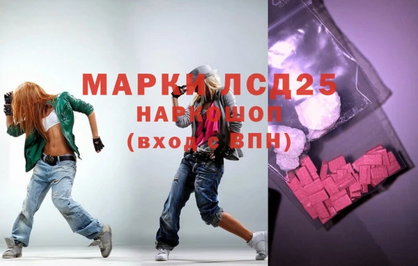 крисы Елабуга