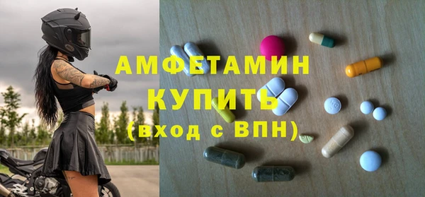 крисы Елабуга