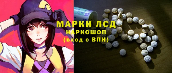 стафф Билибино