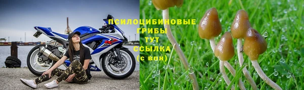 скорость Елизово