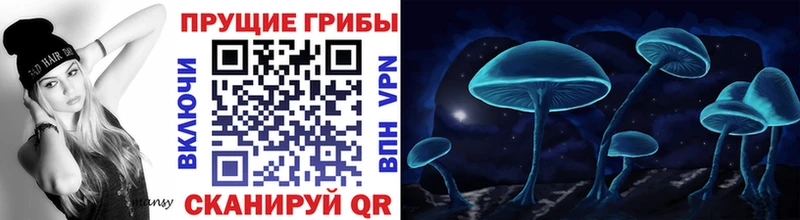 Галлюциногенные грибы Psilocybine cubensis  Игарка 